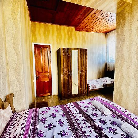 Guesthouse Kamelia Martvili Dış mekan fotoğraf