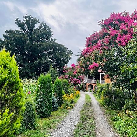 Guesthouse Kamelia Martvili Dış mekan fotoğraf