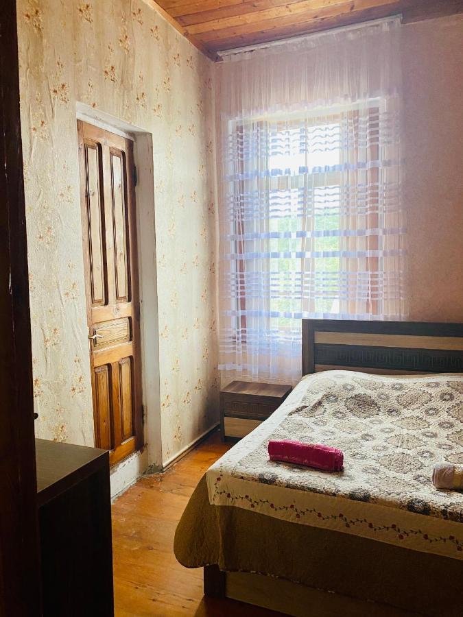 Guesthouse Kamelia Martvili Dış mekan fotoğraf