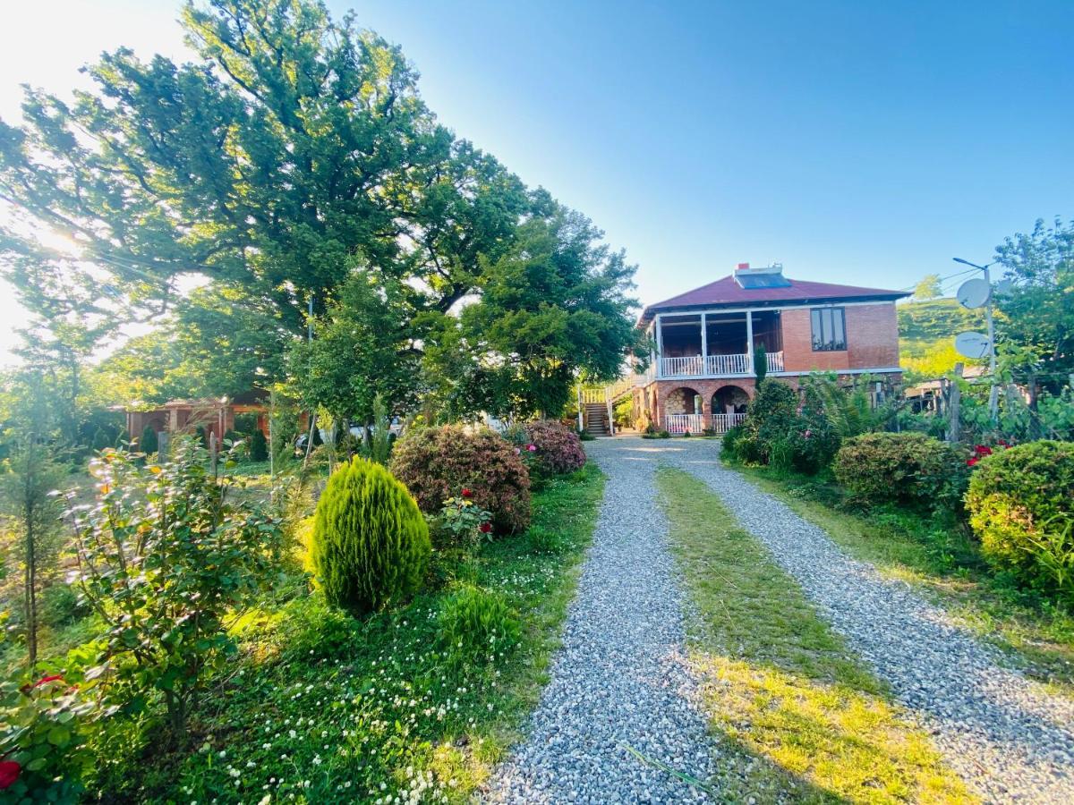 Guesthouse Kamelia Martvili Dış mekan fotoğraf