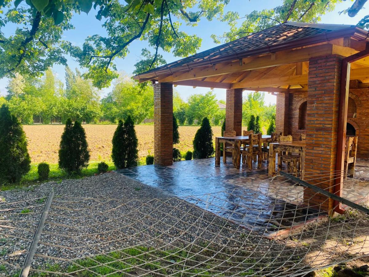 Guesthouse Kamelia Martvili Dış mekan fotoğraf