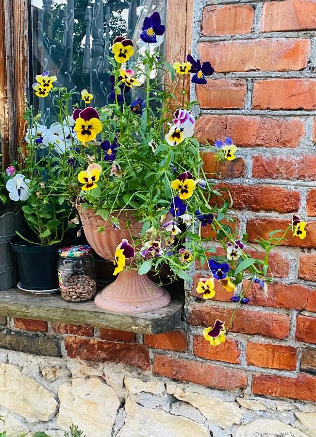 Guesthouse Kamelia Martvili Dış mekan fotoğraf