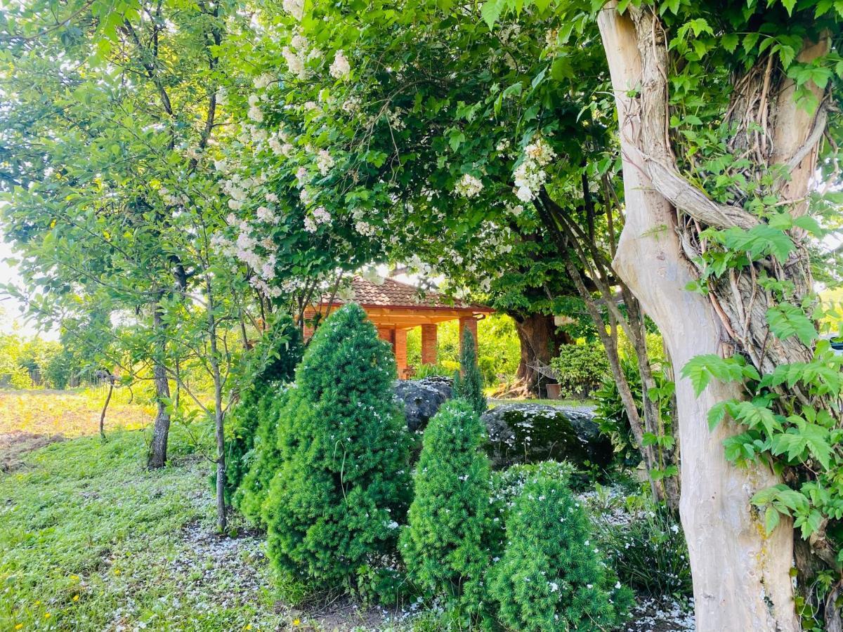 Guesthouse Kamelia Martvili Dış mekan fotoğraf