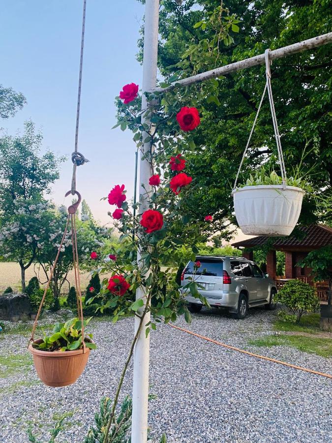 Guesthouse Kamelia Martvili Dış mekan fotoğraf