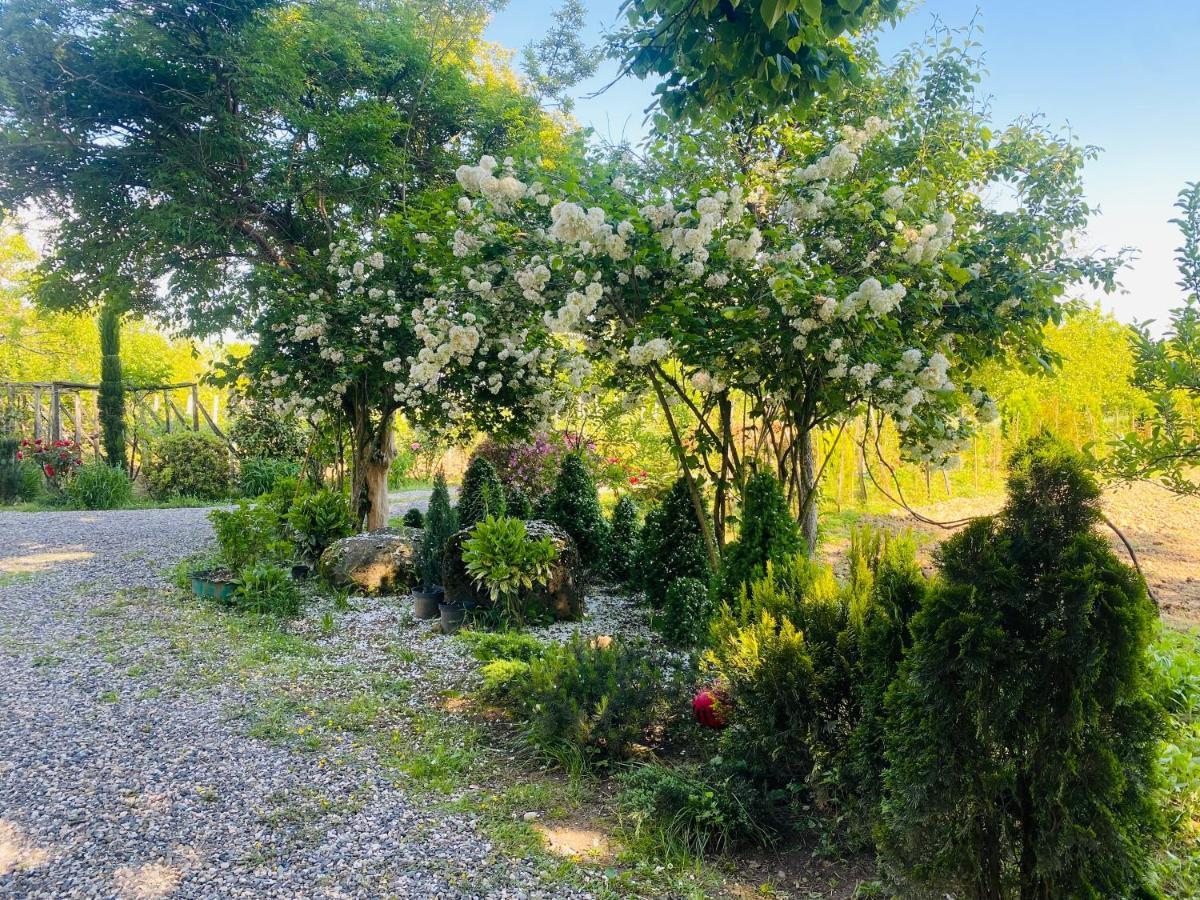 Guesthouse Kamelia Martvili Dış mekan fotoğraf