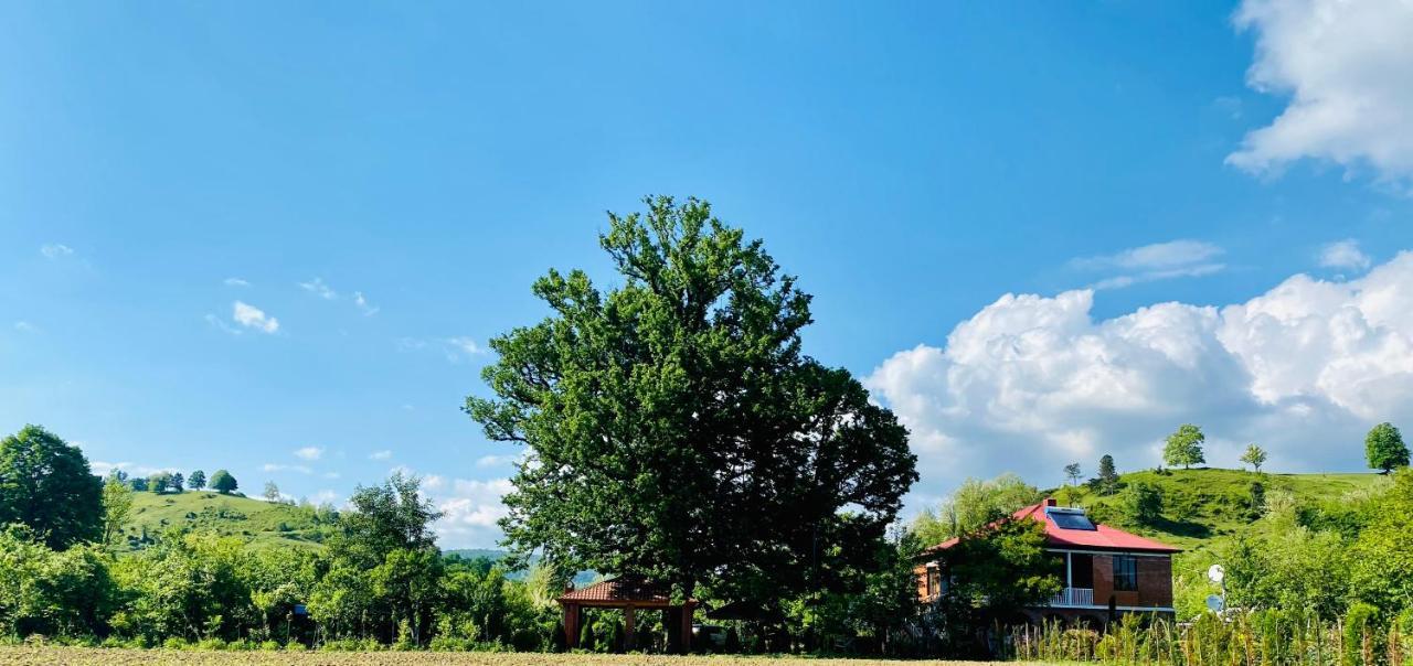 Guesthouse Kamelia Martvili Dış mekan fotoğraf