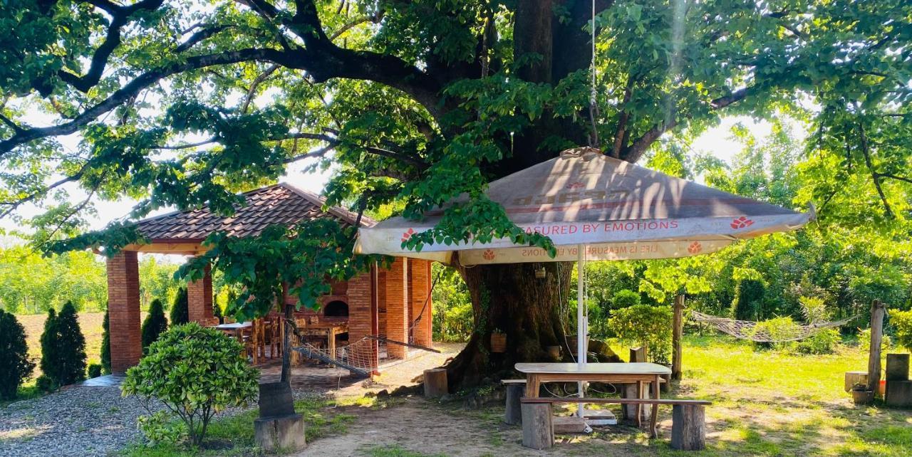 Guesthouse Kamelia Martvili Dış mekan fotoğraf