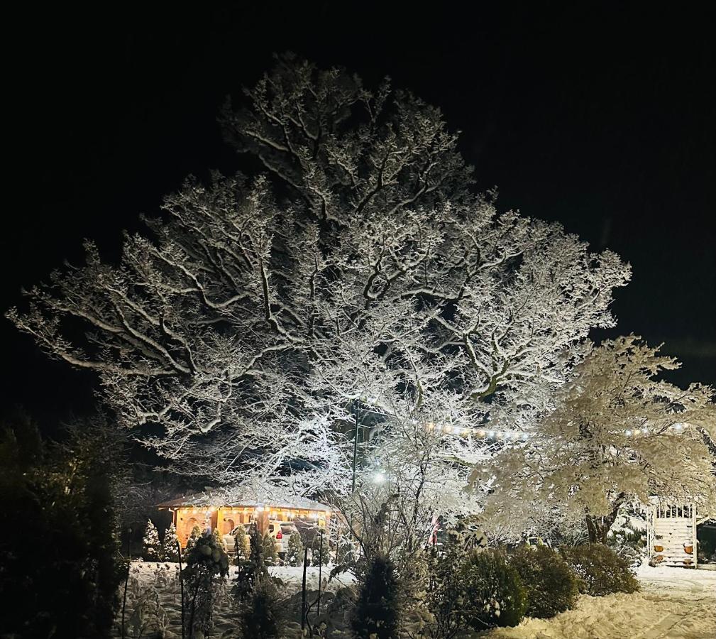 Guesthouse Kamelia Martvili Dış mekan fotoğraf