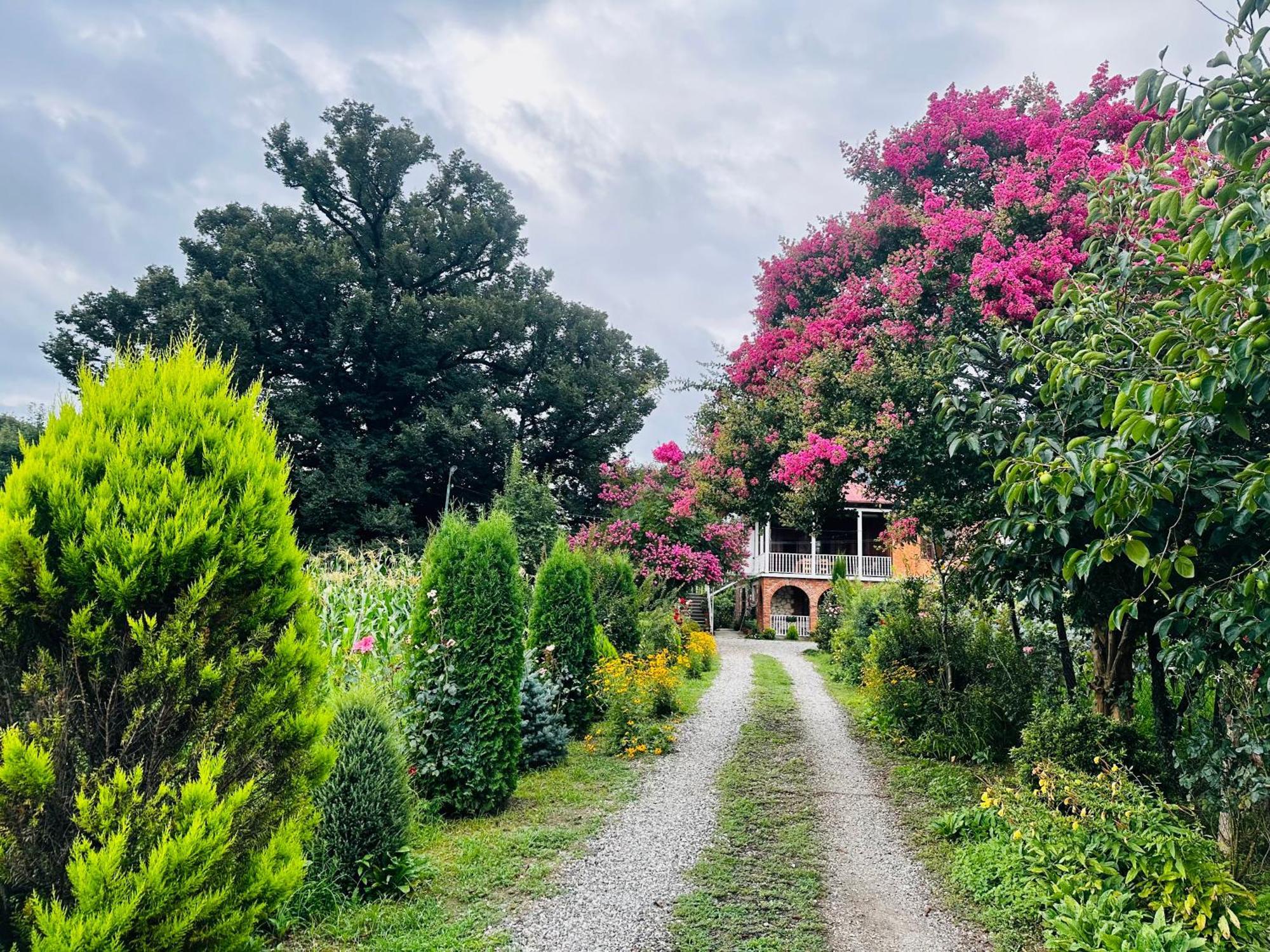 Guesthouse Kamelia Martvili Dış mekan fotoğraf