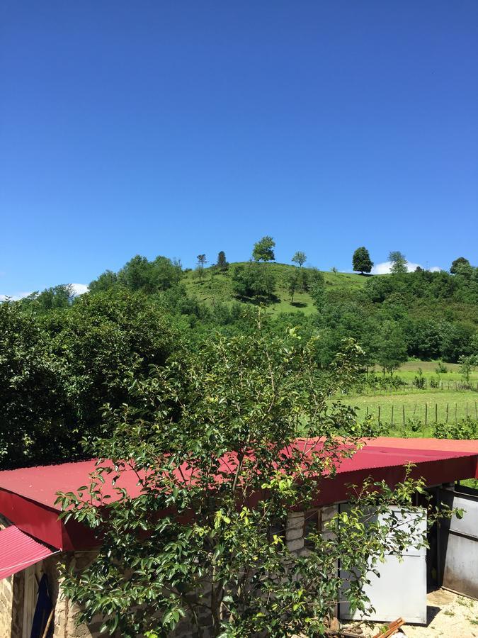 Guesthouse Kamelia Martvili Dış mekan fotoğraf