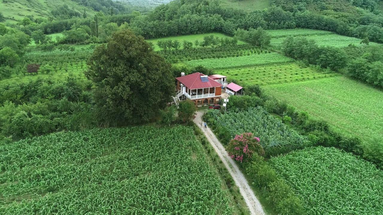 Guesthouse Kamelia Martvili Dış mekan fotoğraf