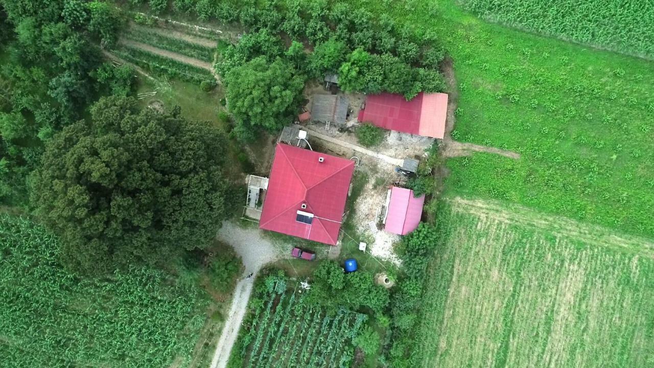 Guesthouse Kamelia Martvili Dış mekan fotoğraf