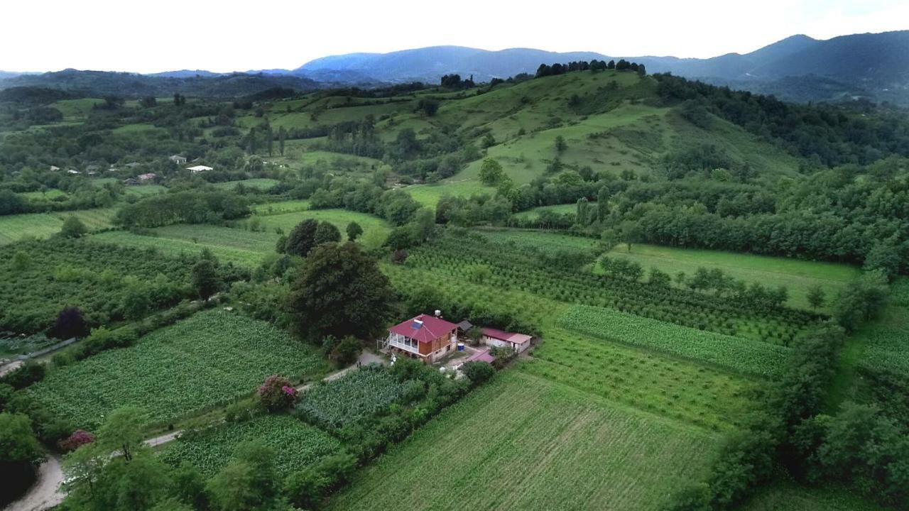 Guesthouse Kamelia Martvili Dış mekan fotoğraf