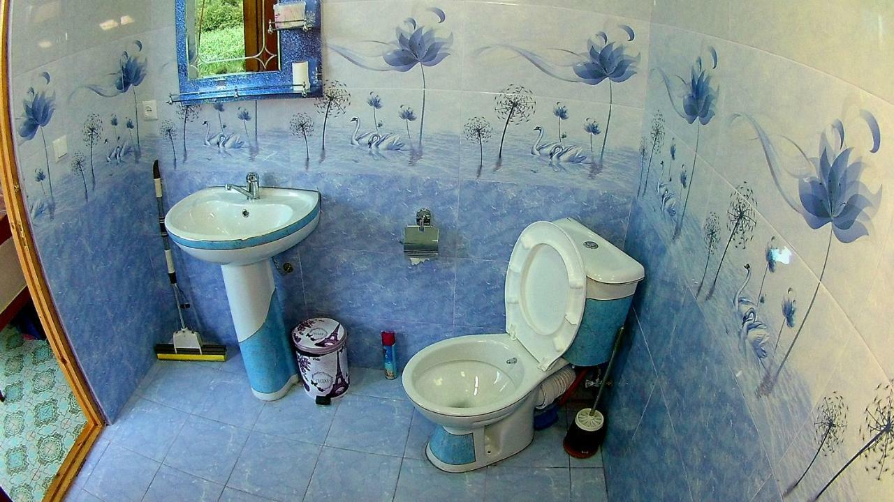 Guesthouse Kamelia Martvili Dış mekan fotoğraf